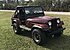 1981 Jeep CJ 5 for sale 101080285